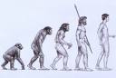 [evolution progression photo]