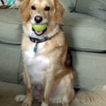 [linus ball photo]
