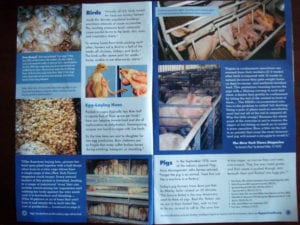 [pamphlet inside photo]