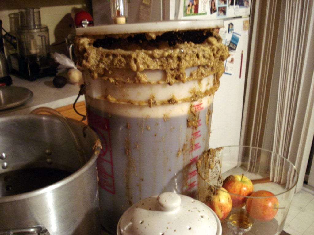 beer disaster photo 1024x768