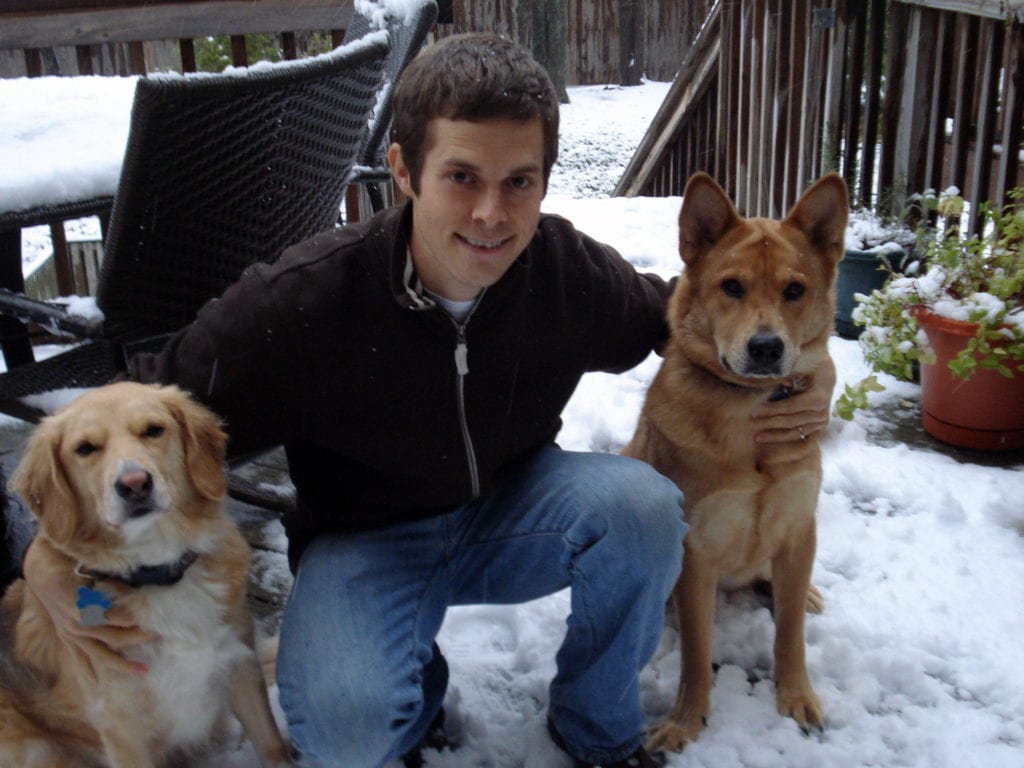 snow dogs photo 1024x768