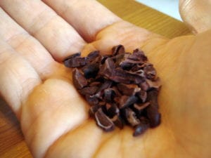 cacao nibs photo 300x225