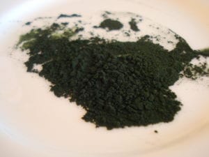 chlorella photo 300x225
