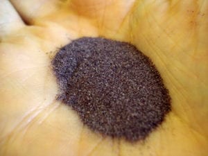 dulse powder photo 300x225