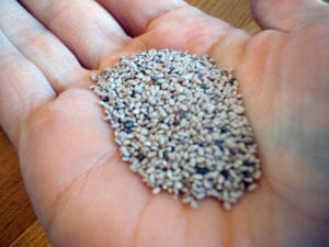white chia