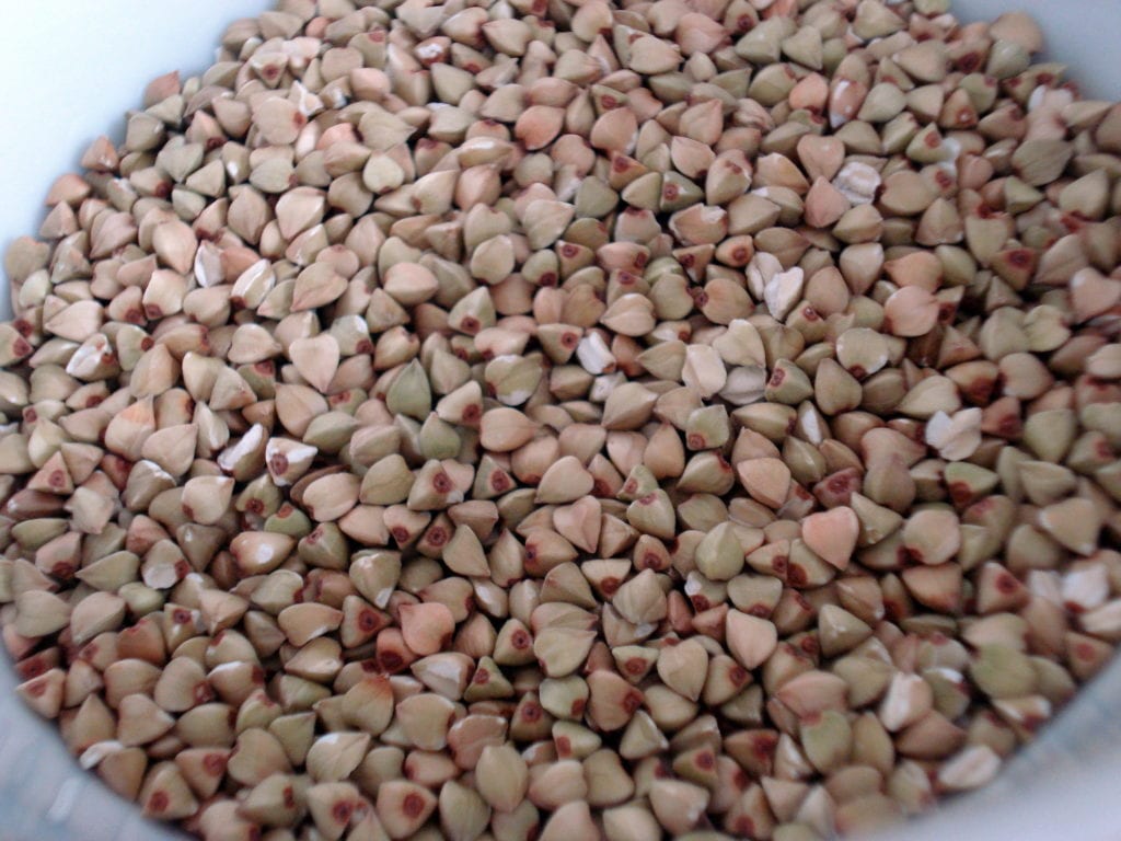 unsprouted buckwheat photo 1024x768
