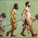 [dysevolution image]