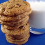 [vegan gluten-free chocolate chip cookie photo]