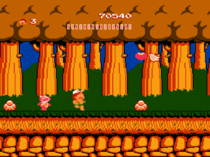 Adventure Island 10 300x225