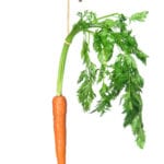 [Carrot on a stick image]