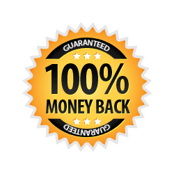 Money Back Guarantee 100% - Burst Badge Orange