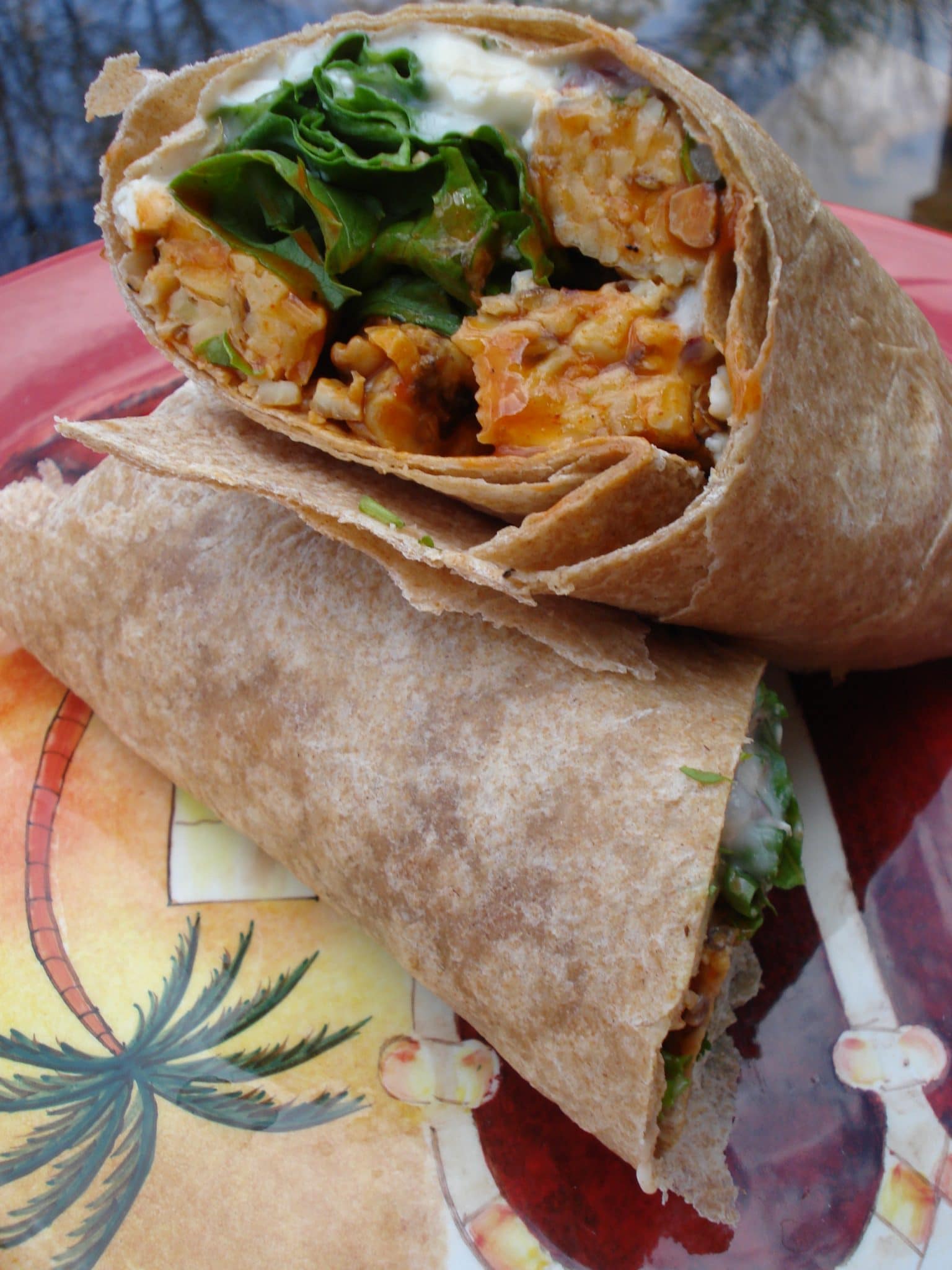 Plate of 2 Buffalo Tempeh Wraps