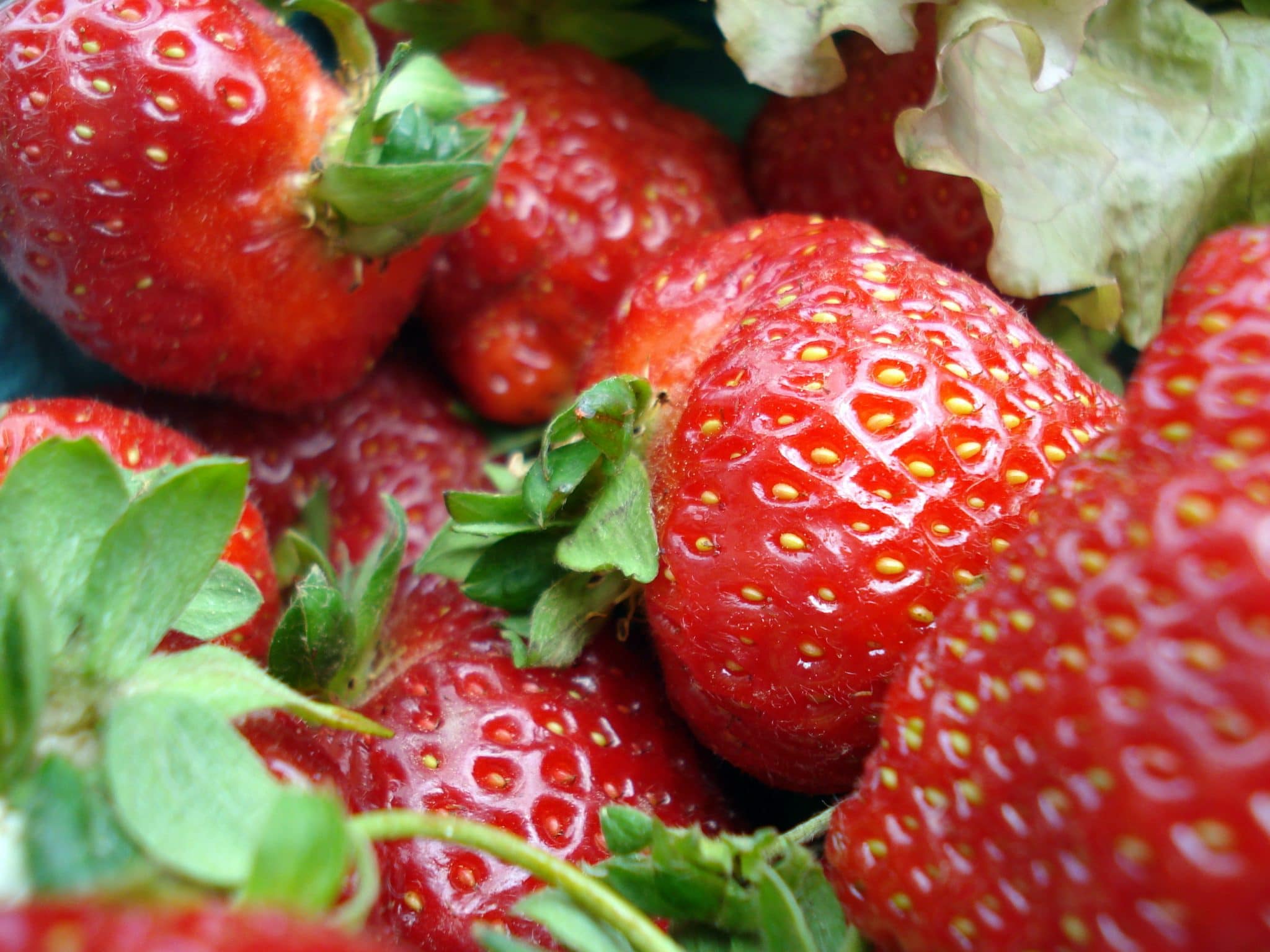 Close up of Strawberries