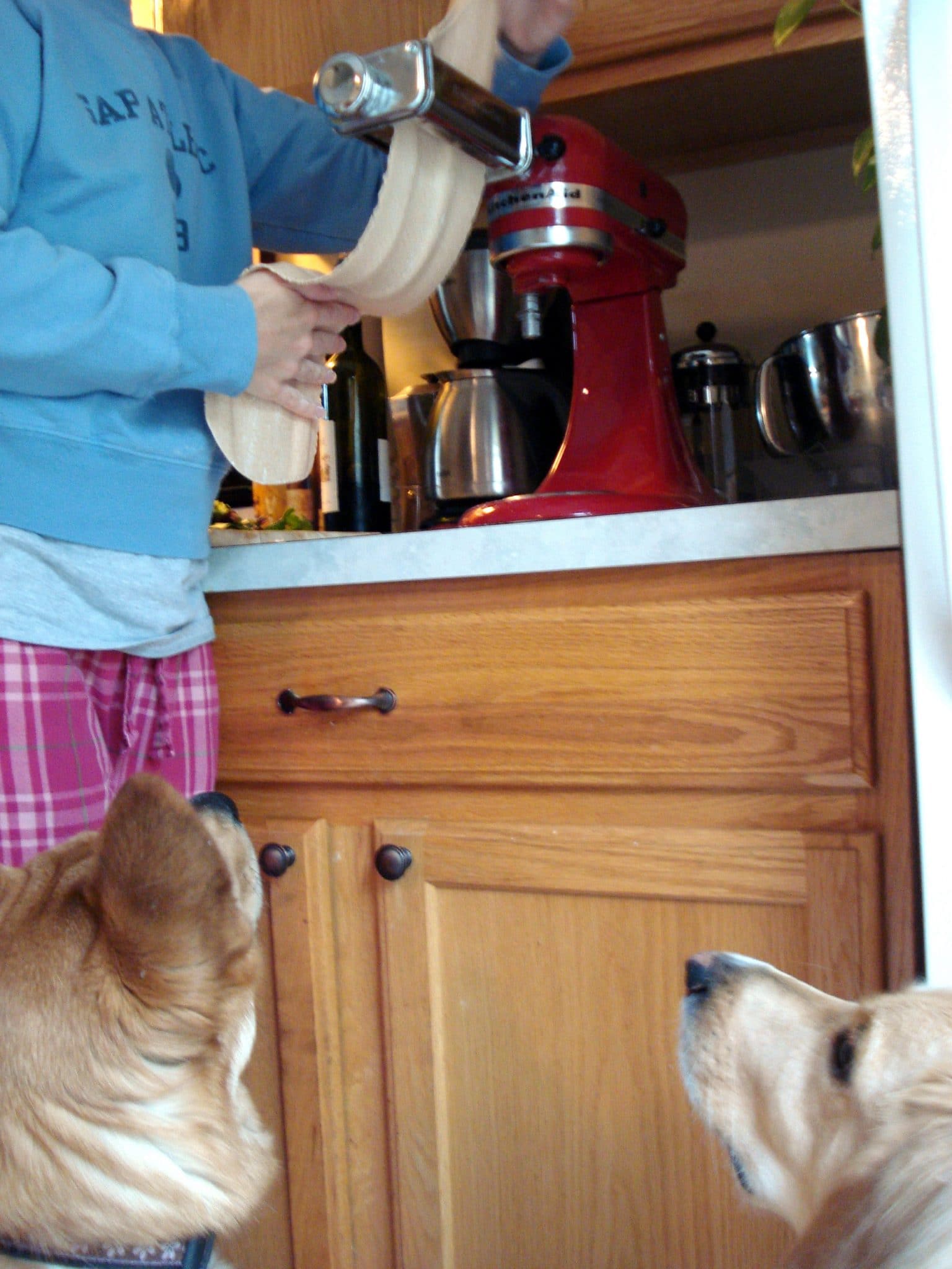 Pasta dough being cut using Kitchenaid while sogs watch