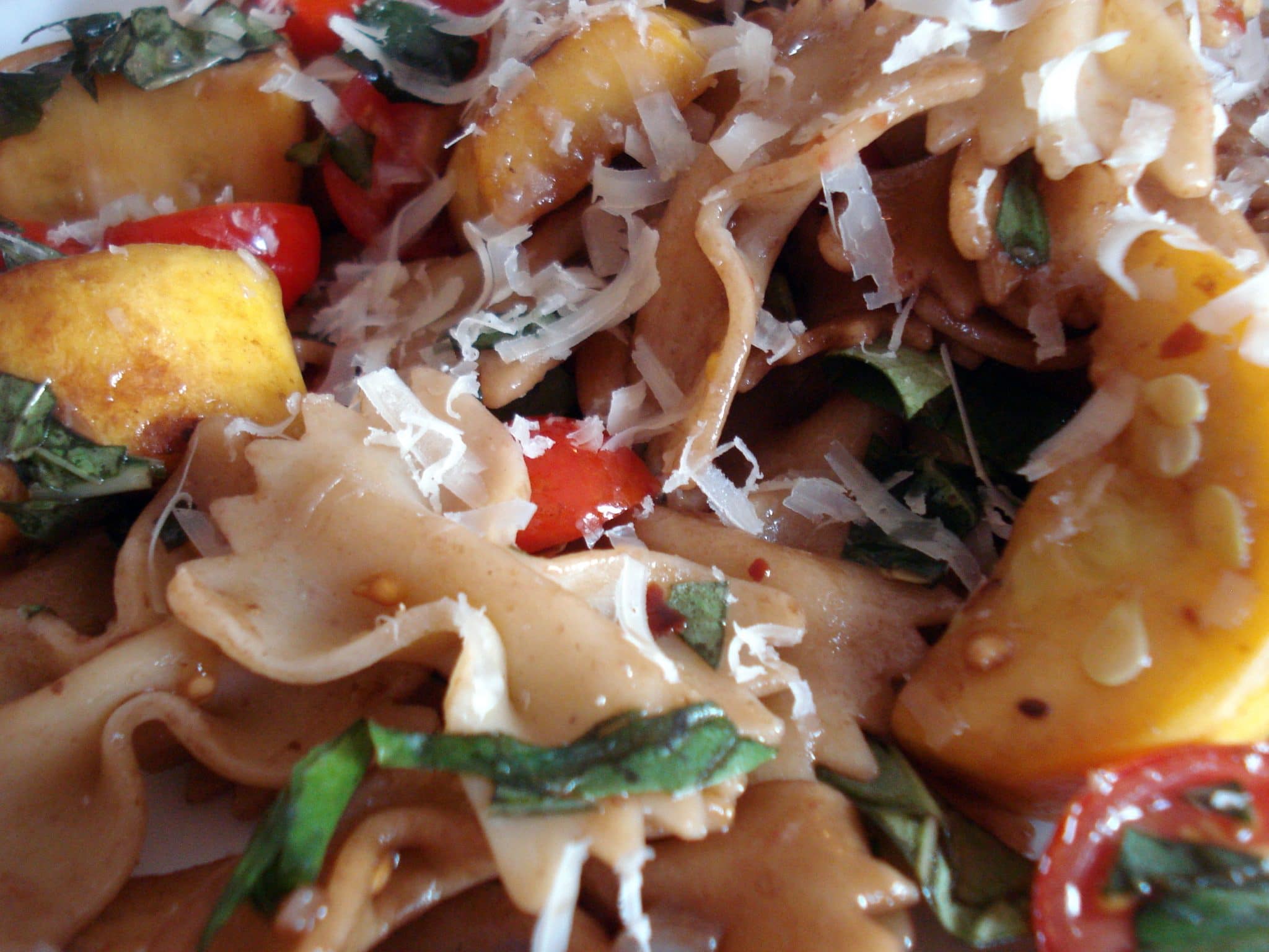 Close up of Bowtie Pasta with Summer Squash and Tomatoes