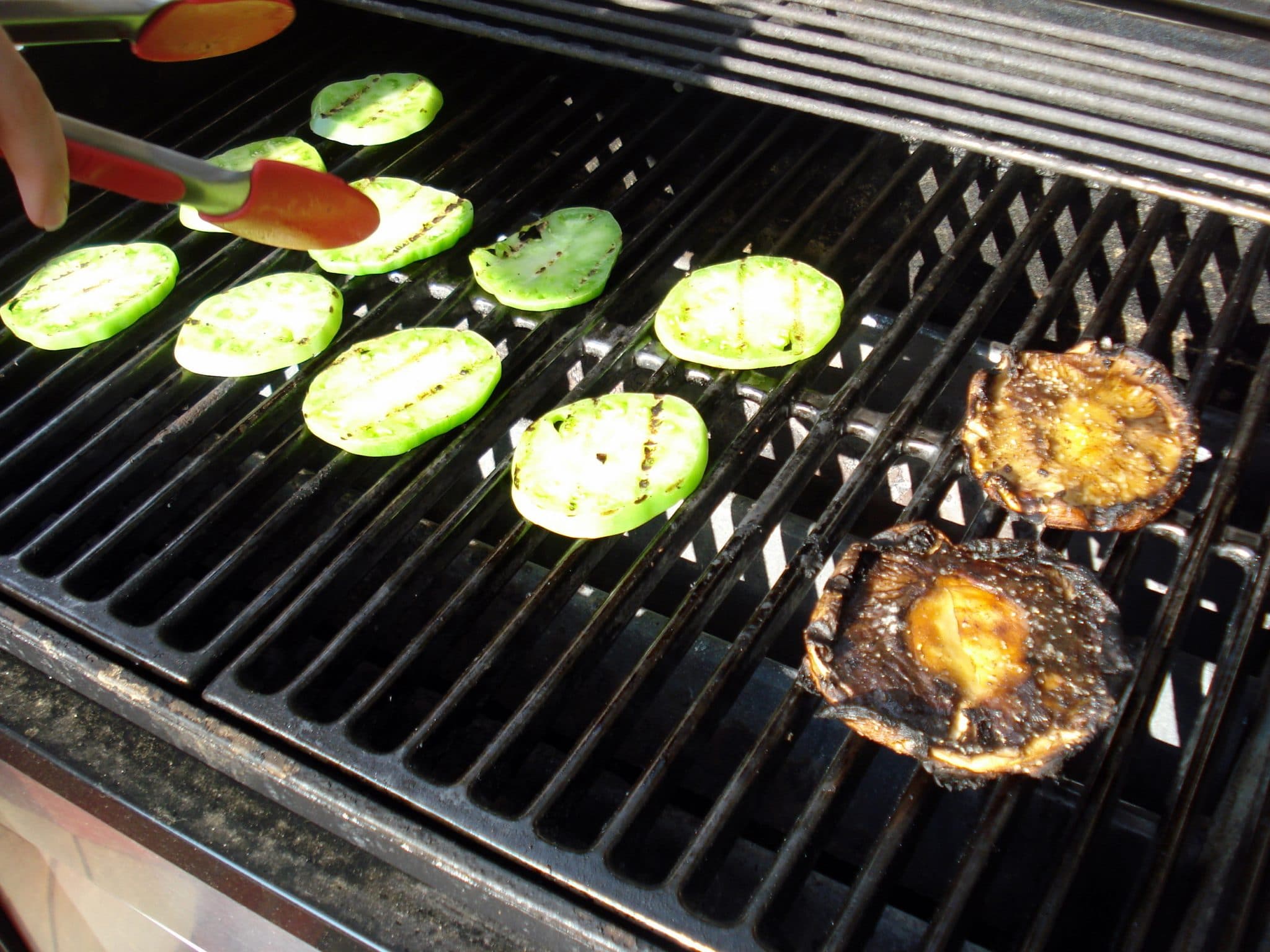 Eggplant and onion on grill