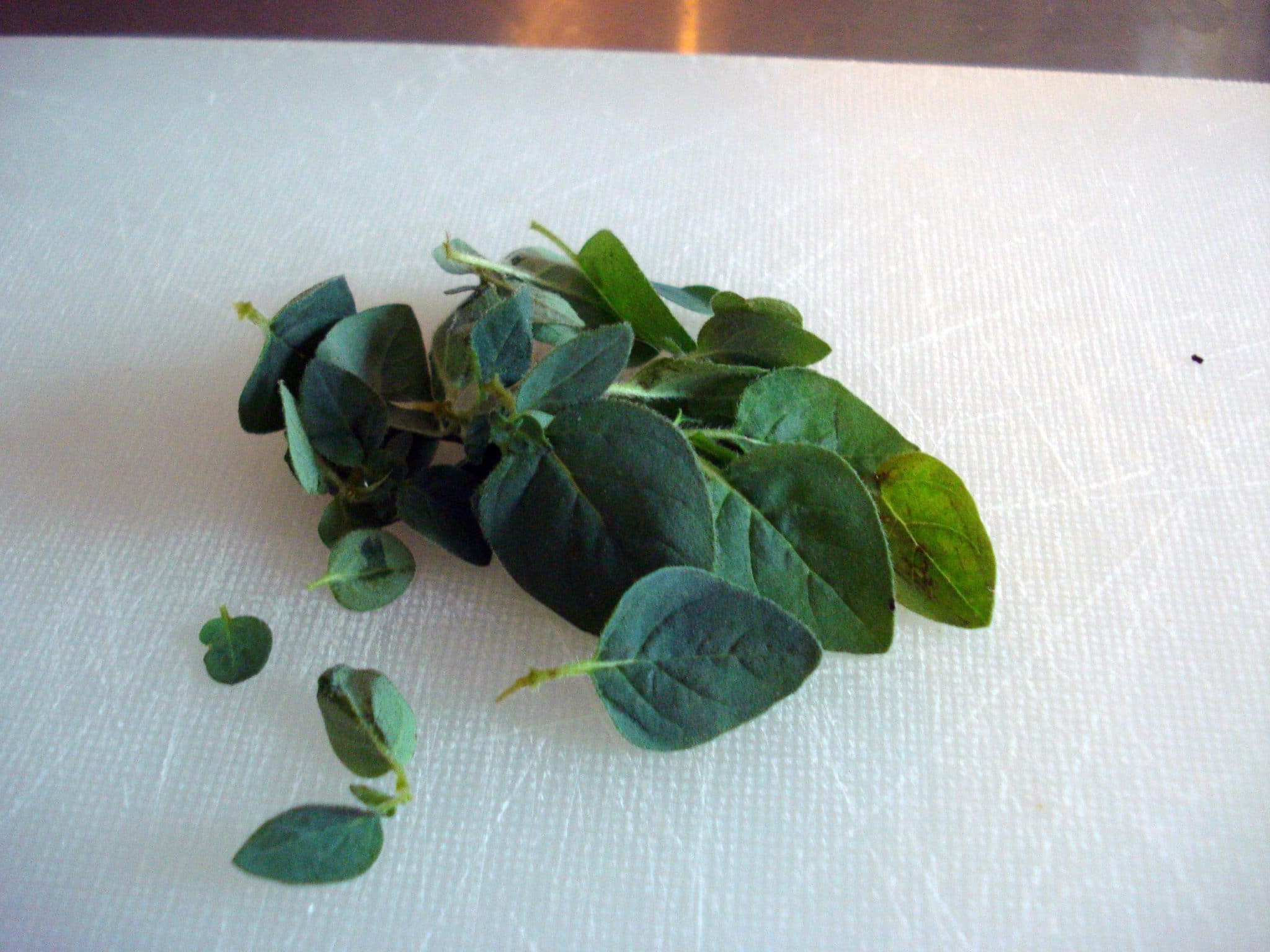 Cilantro leaves removed from stem