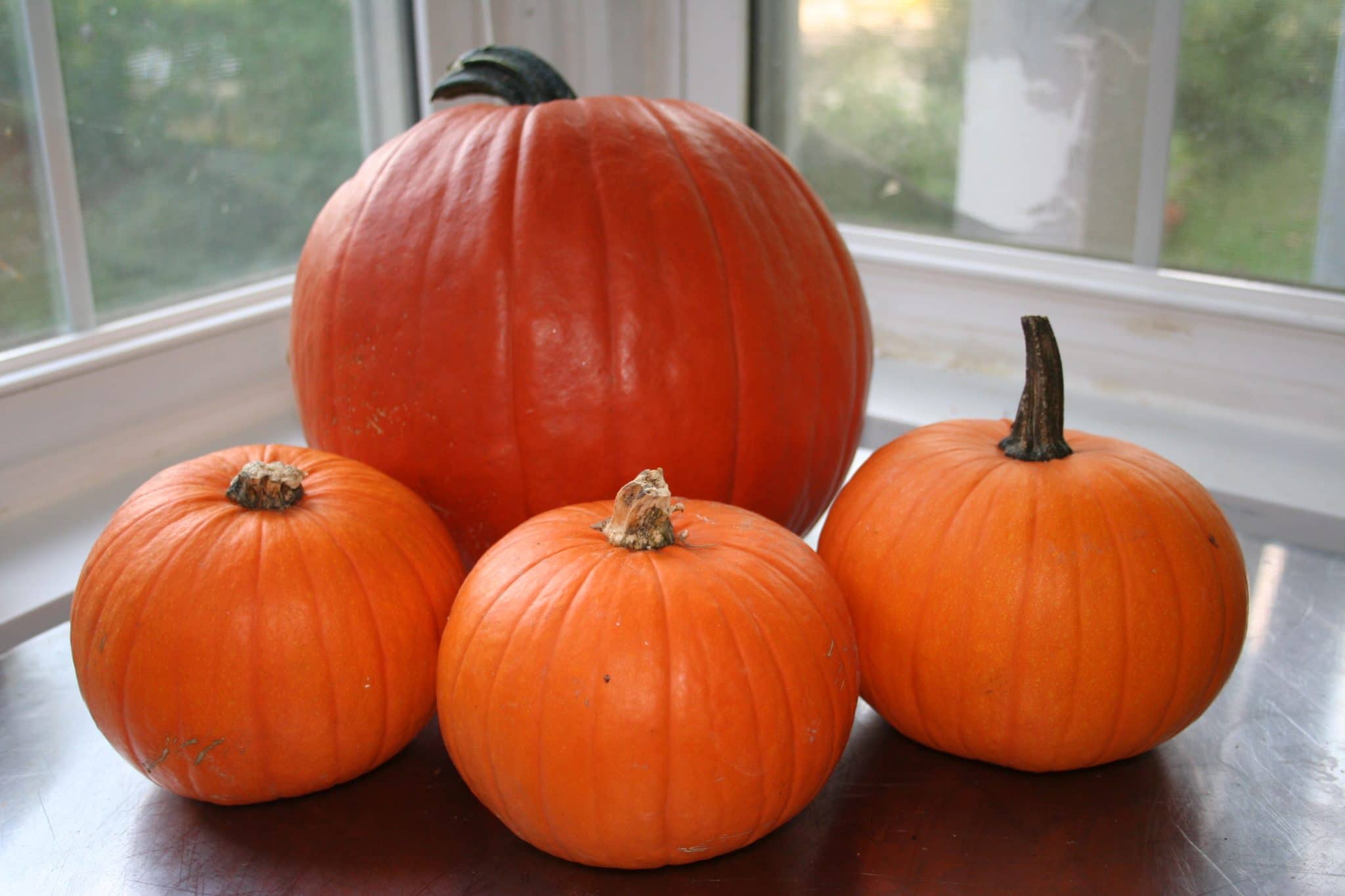 4 different pumpkins of varying sizes
