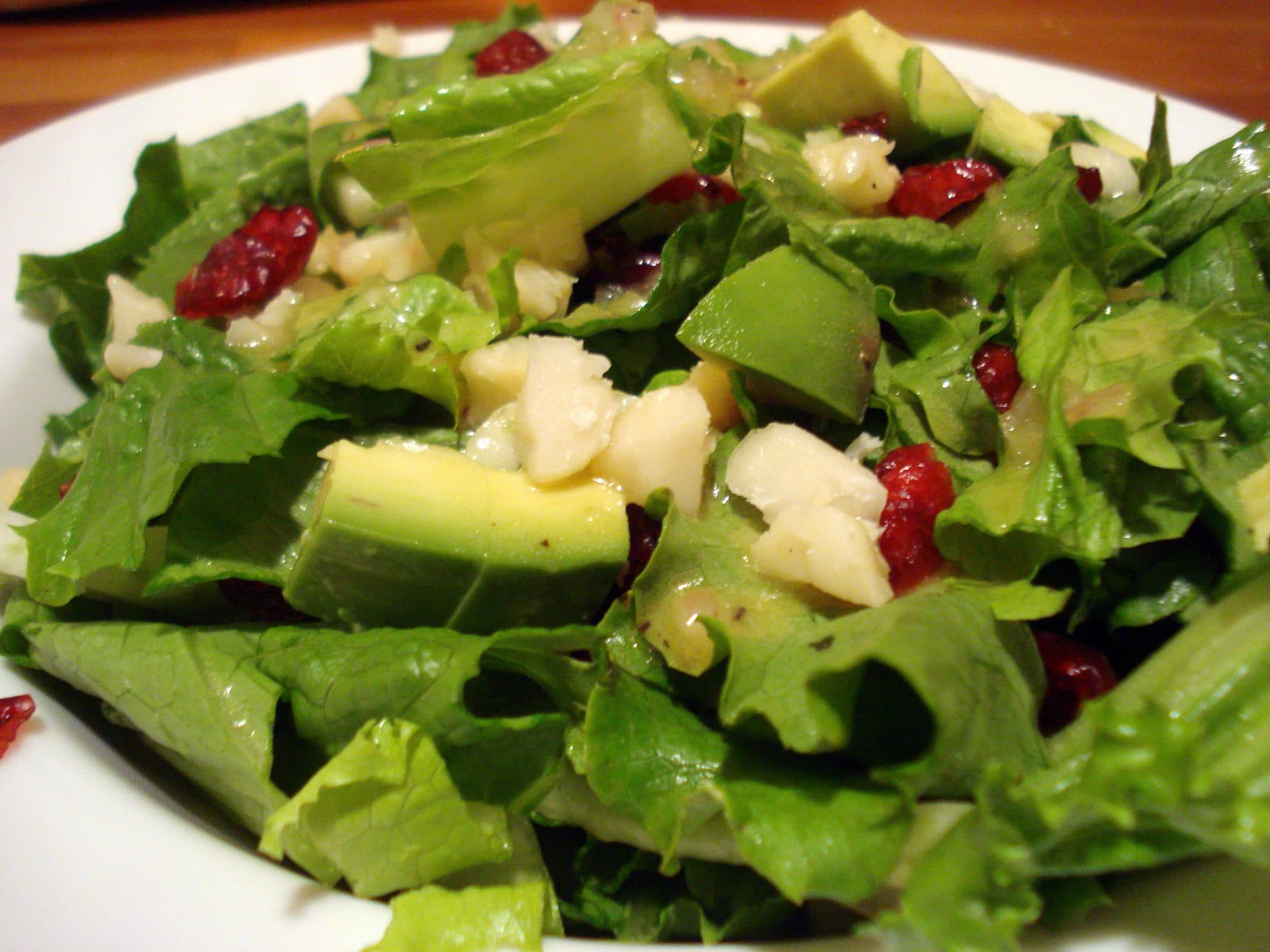 Close up of Salad with fennel, macadamia nuts, and dried cranberries from 1,000 Vegan Recipes