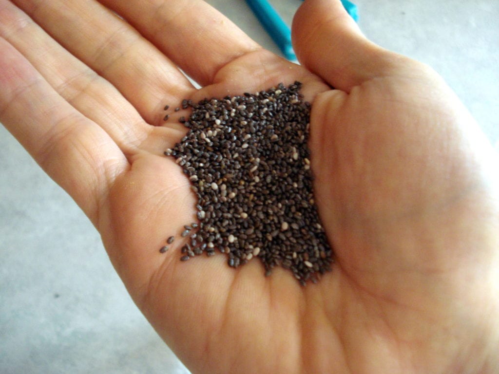 Palmful of chia seeds