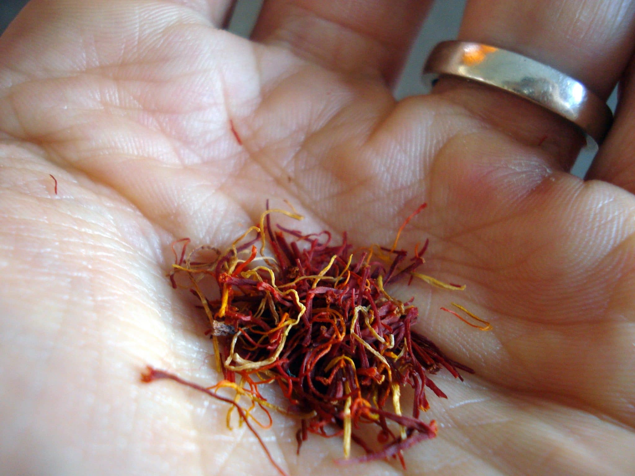 Close up of a palmful of saffron