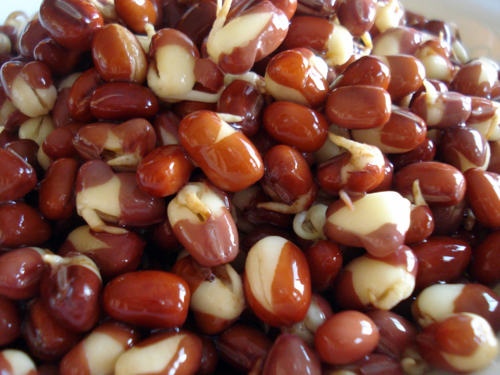 Sprouted adzuki beans