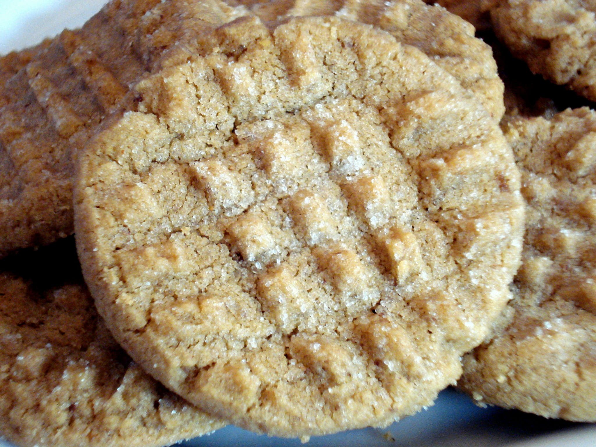 Close up of peanut butter cookies on plate