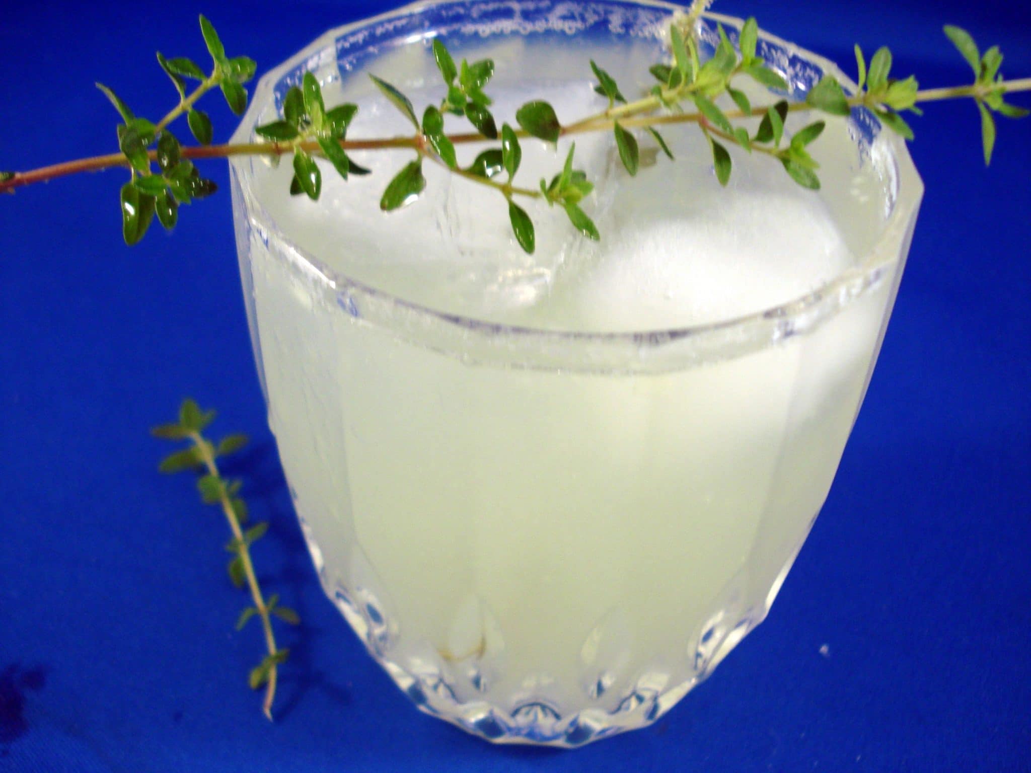Cucumber-Thyme Cocktail with sprig of thyme on top