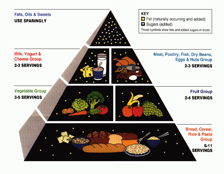 Retired, Classic Food Pyramid