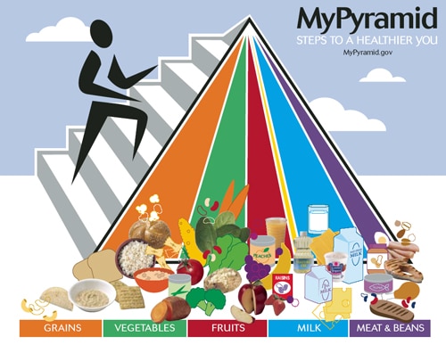 New Food Pyramid with vertical divisions