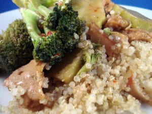 Vegetarian protein source