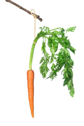 Carrot, tied to a string, hanging from a stick