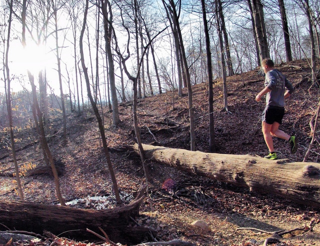 Doug running down side of mountain with many sticks and trees around.