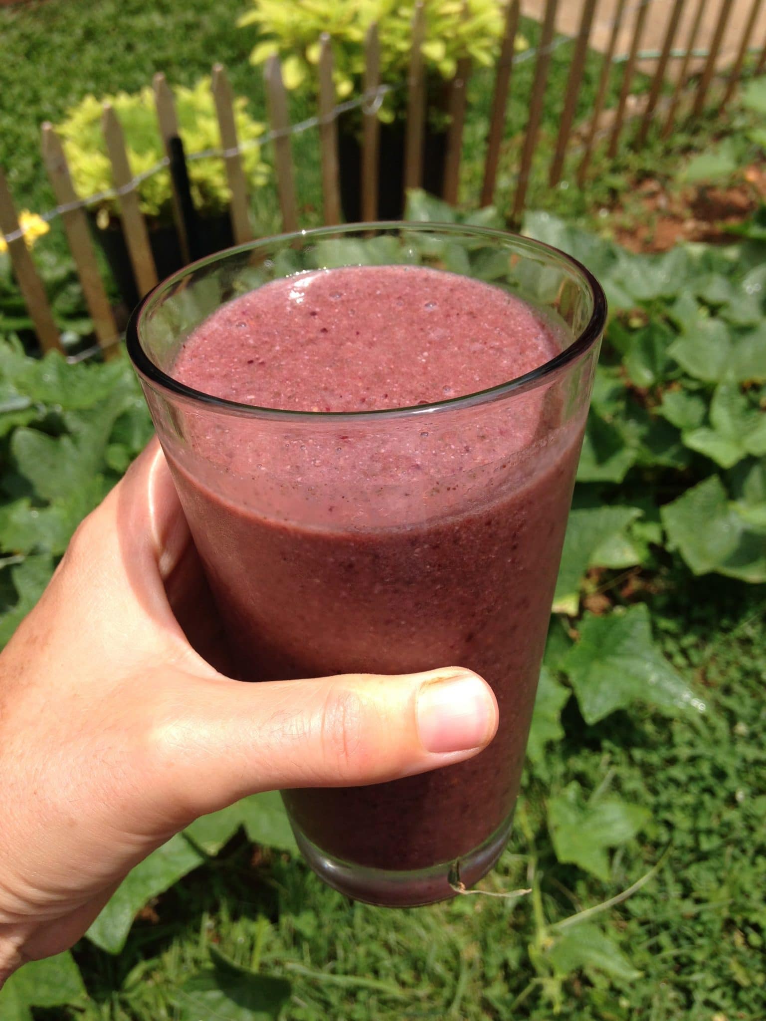 Glass of chocolate cherry smoothie