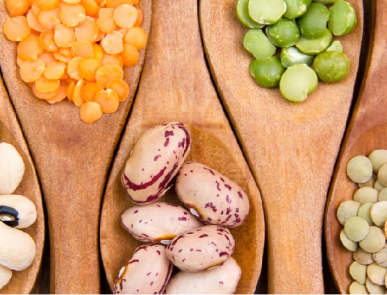 how to get protein in vegetarian diet