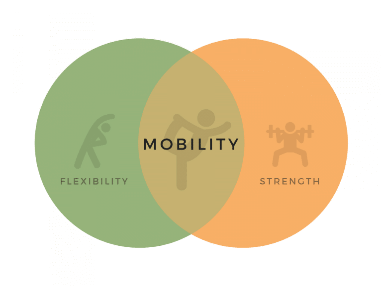 Venn diagram of flexibility, strength and overlapped in mobility