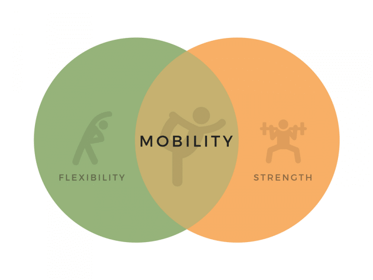 Diagrama Venn a flexibilității, forței și suprapuse în mobilitate