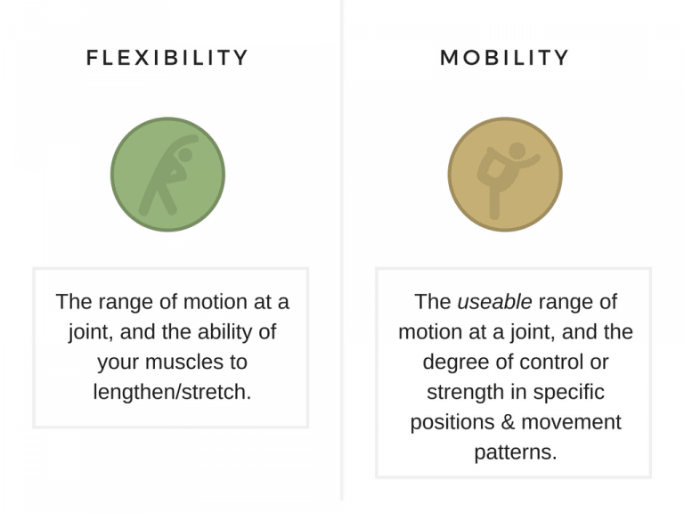 Definition av flexibilitet och rörlighet och hur de skiljer sig åt.